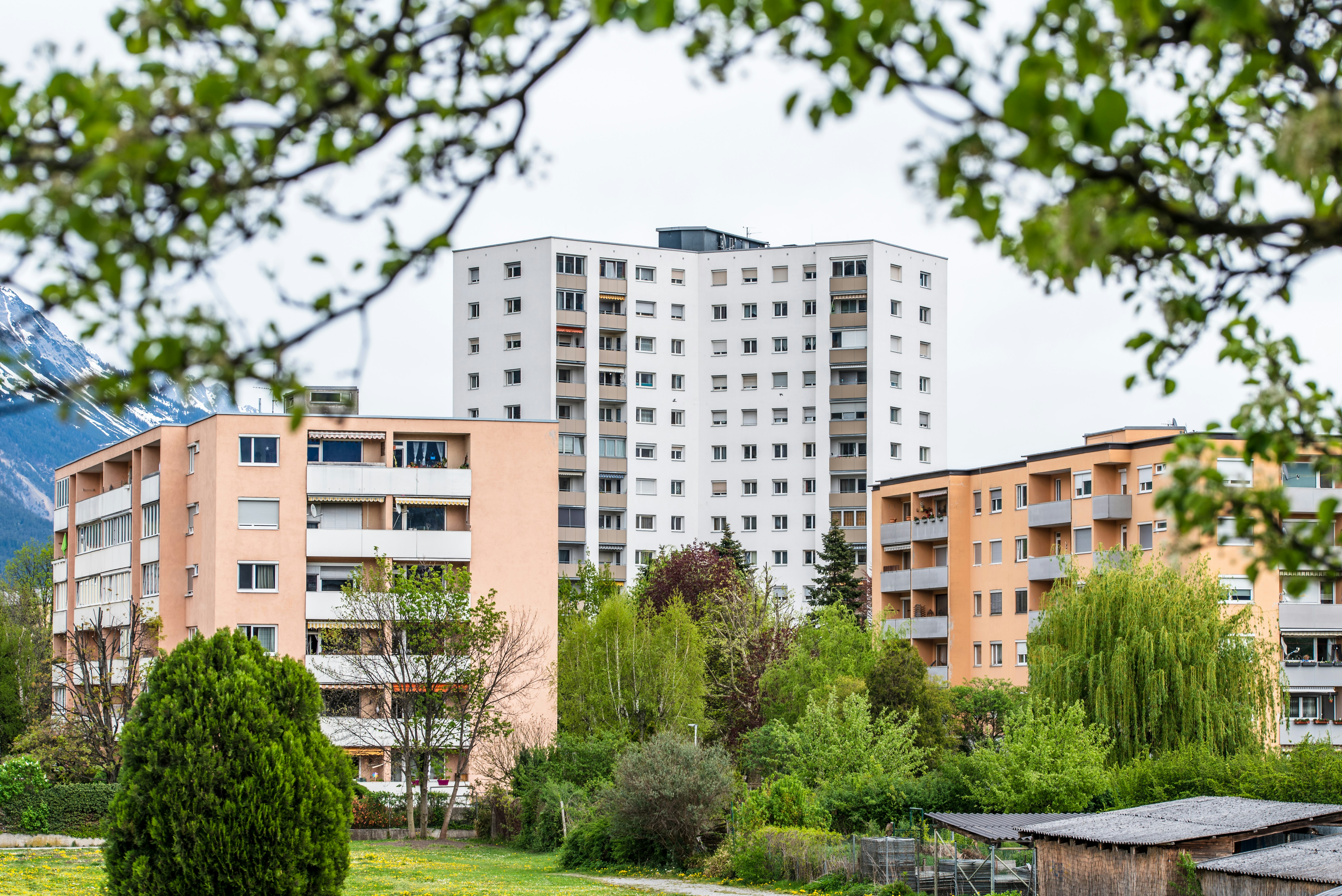 three apartment complex with garden